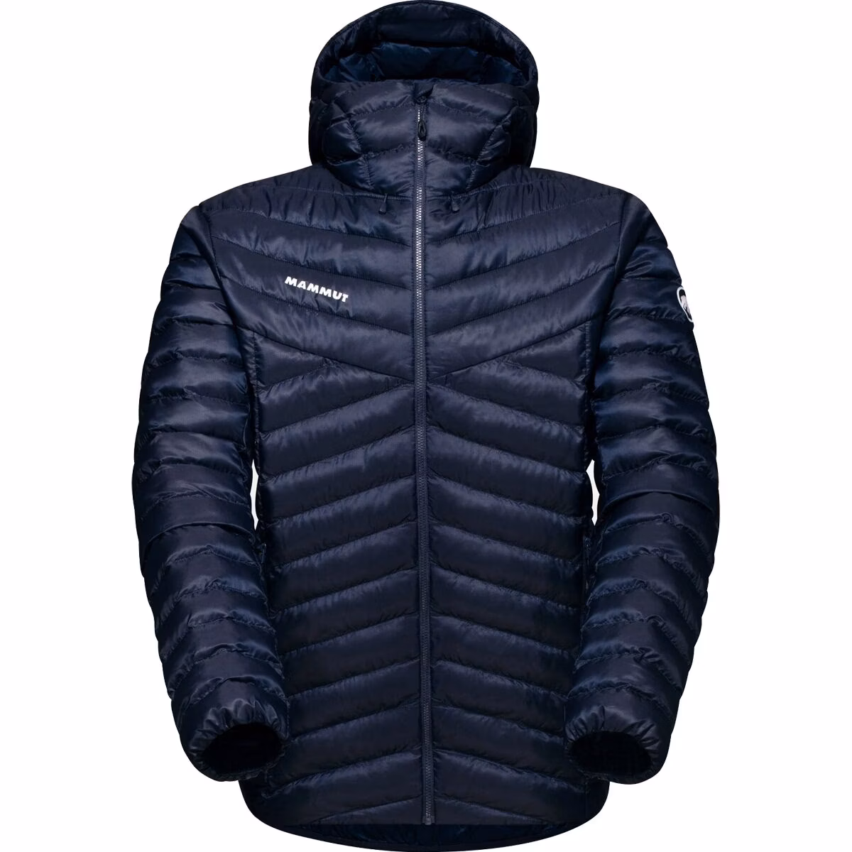 Mammut Mammut Men's Albula IN Hoody