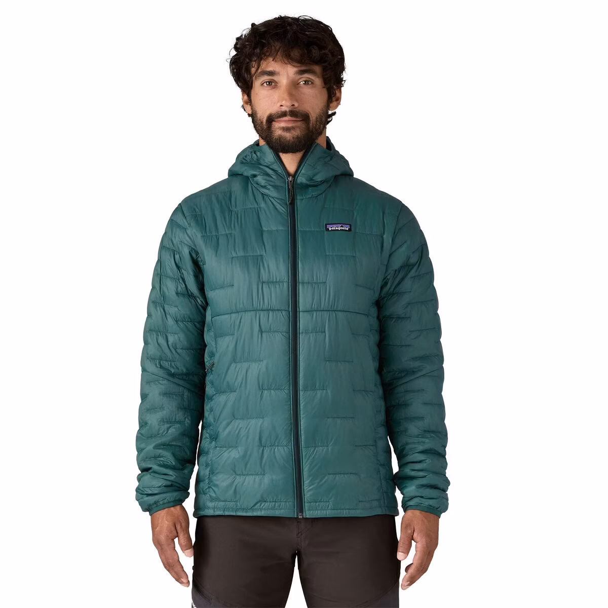 Patagonia Patagonia Men's Micro Puff Insulated Hoody