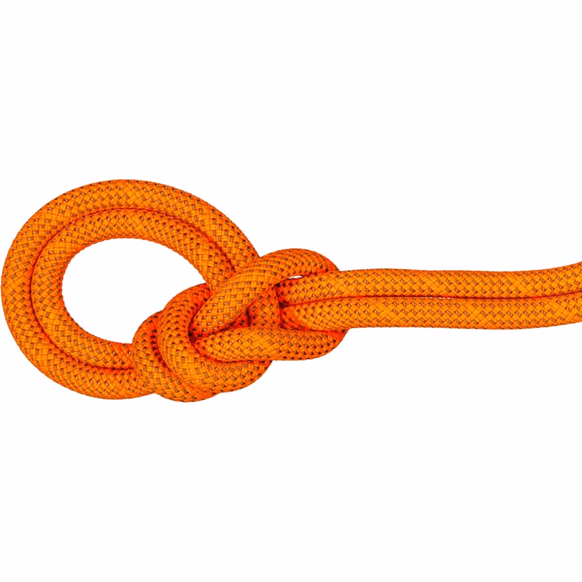 Mammut Mammut 9.8 Crag Dry Rope