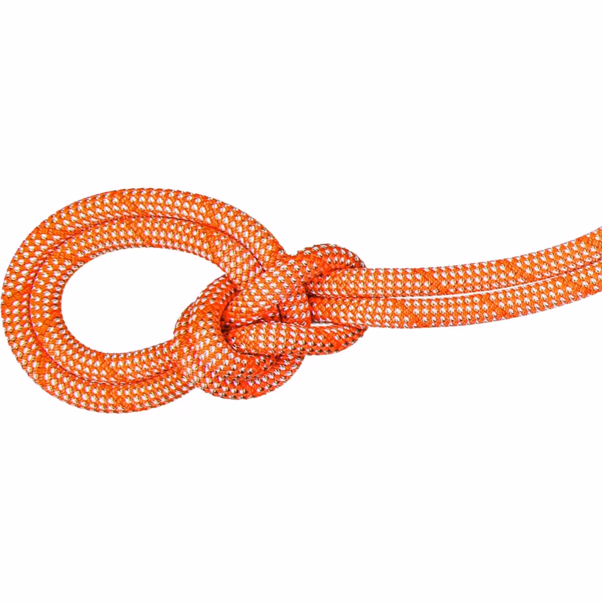 Mammut Mammut Crag Classic 9.8mm Rope