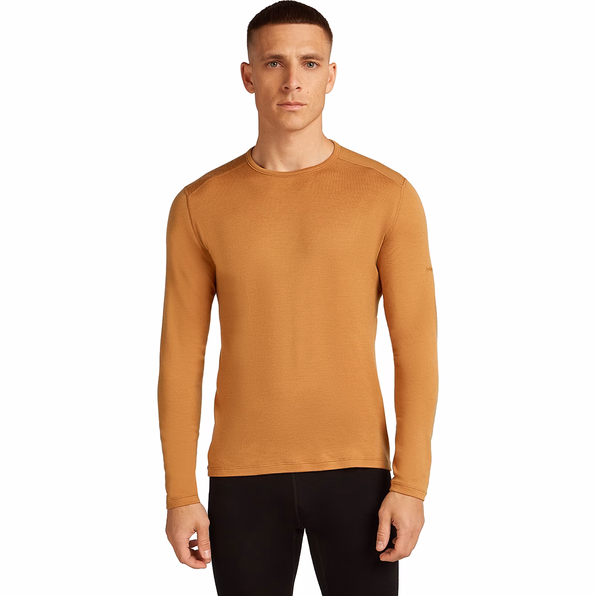 Icebreaker Icebreaker Men's Merino 260 Tech Long Sleeve Crewe Base Layer Top